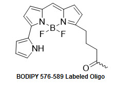 Bio-Synthesis Inc. Oligo Structure